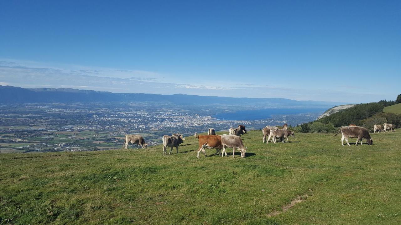 Appartement Au Calme Avec Terrasse Verdoyante Entre Annecy Et Geneve 维伊勒佩 外观 照片