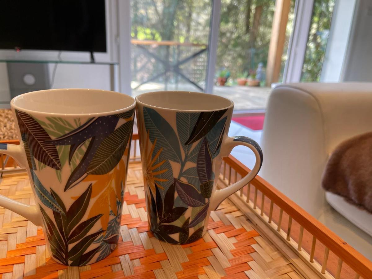 Appartement Au Calme Avec Terrasse Verdoyante Entre Annecy Et Geneve 维伊勒佩 外观 照片