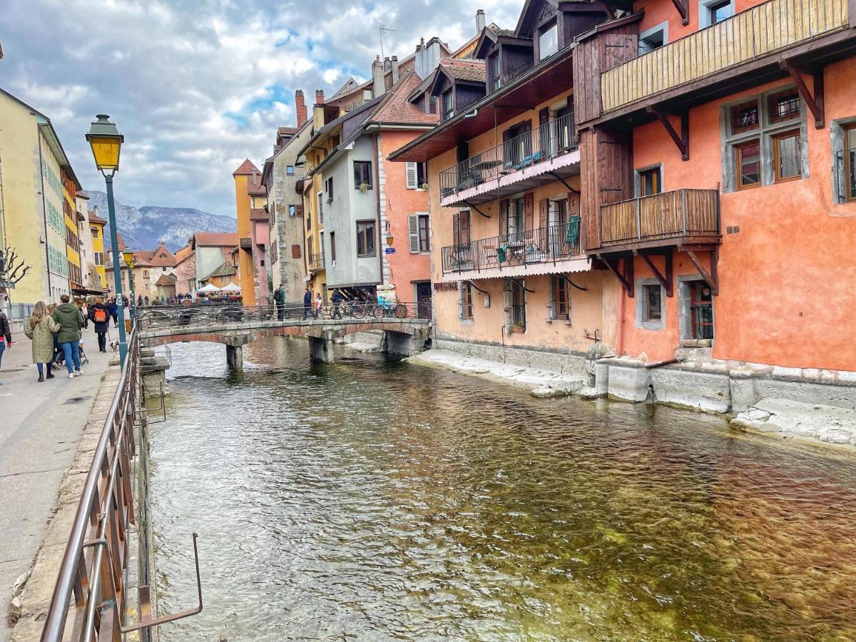 Appartement Au Calme Avec Terrasse Verdoyante Entre Annecy Et Geneve 维伊勒佩 外观 照片